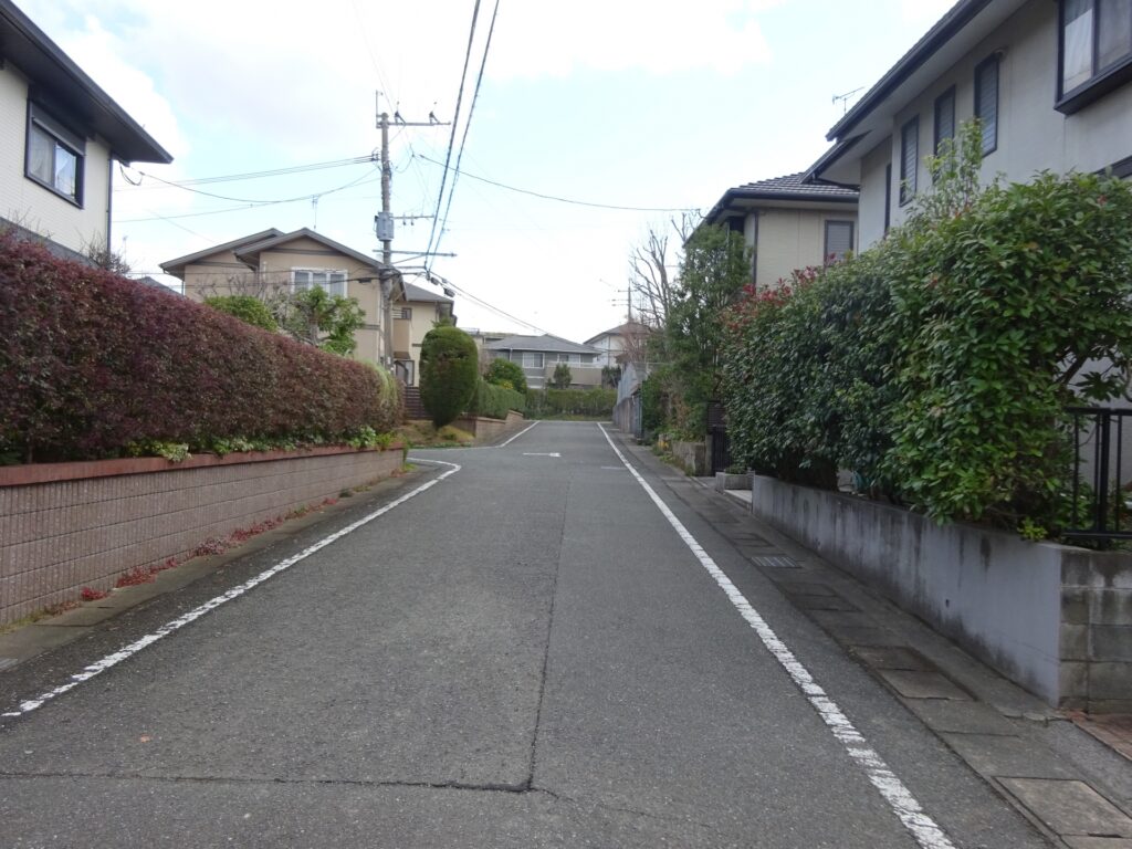 街でよく見かける生垣