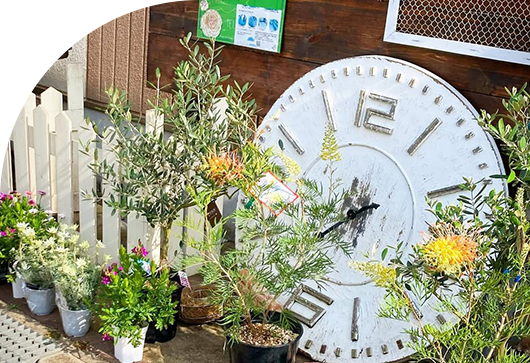 千葉県流山市の自宅で無人花屋をやっています。ゆっくりお買い物をお楽しみください。