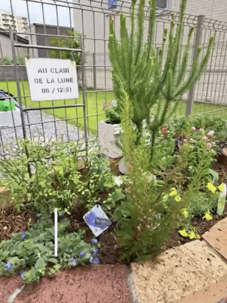 雑草が生い茂っていた花壇がキレイな緑の植栽に生まれ変わりました