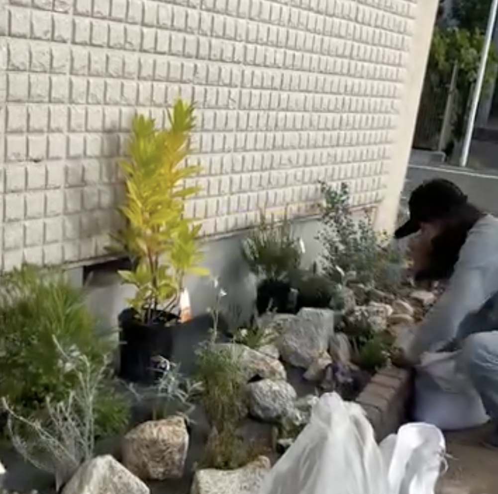防草シートを敷いて綺麗にくり抜いた場所に植栽をうえていく