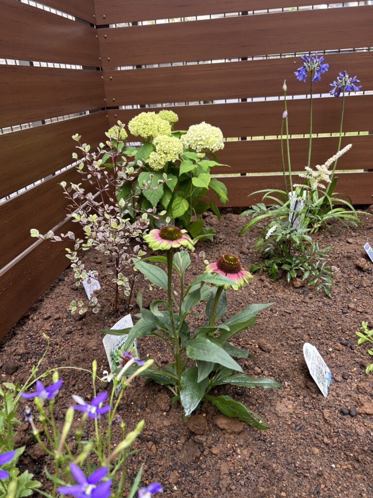 お花専門のスタッフが選定した植栽。
