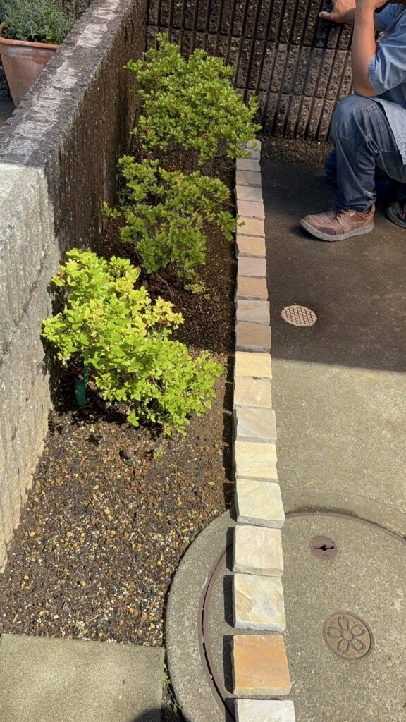 施工前の玄関横の植栽スペース
