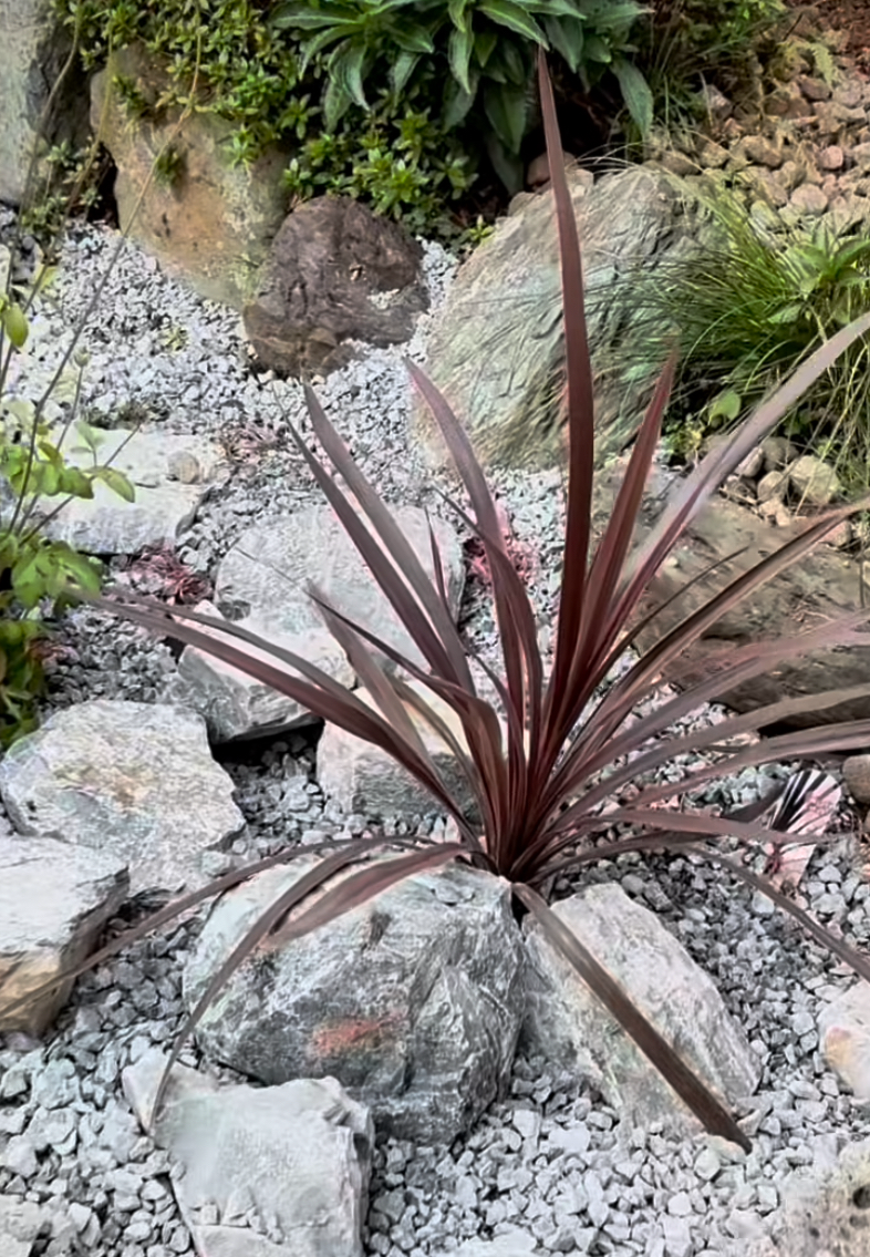 防草シートを一部切り抜いて植栽を入れてアレンジ