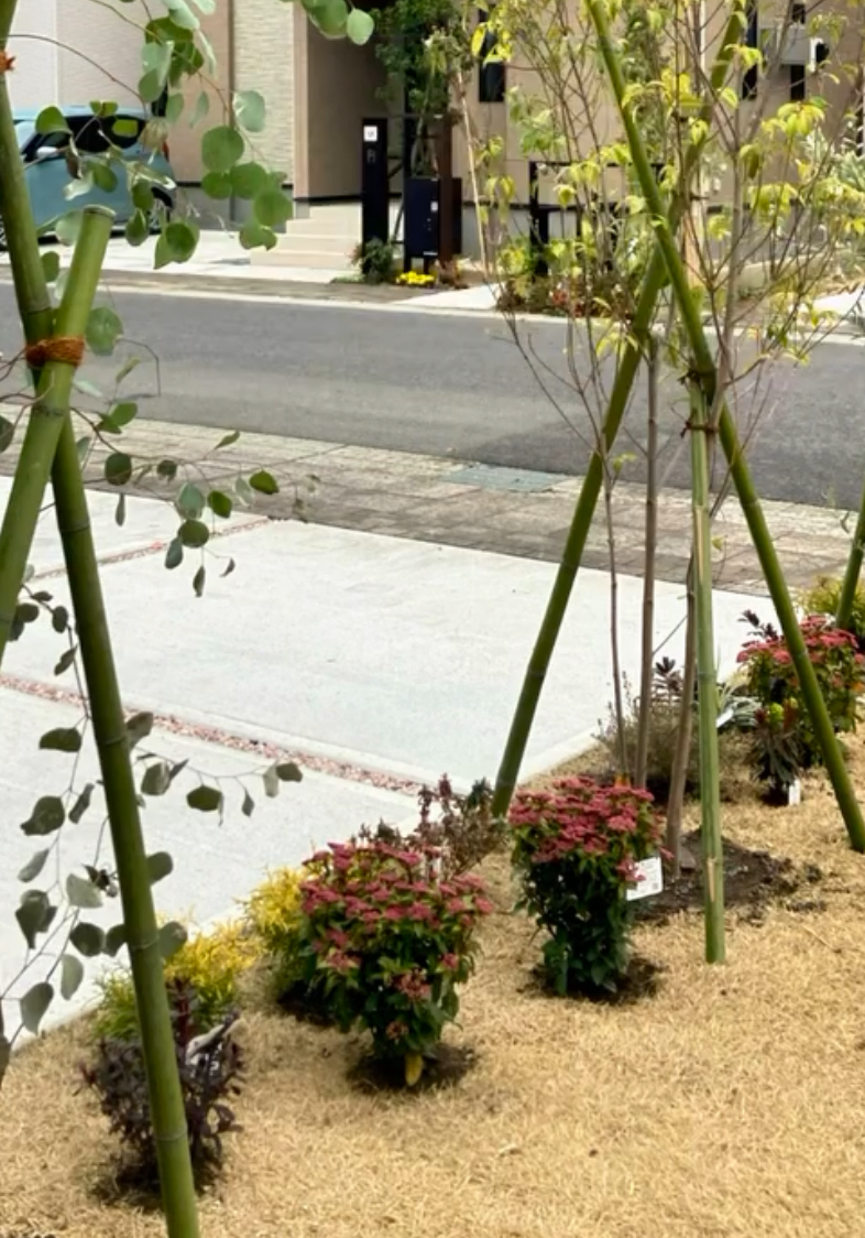 目隠しのために植えられた植木。
