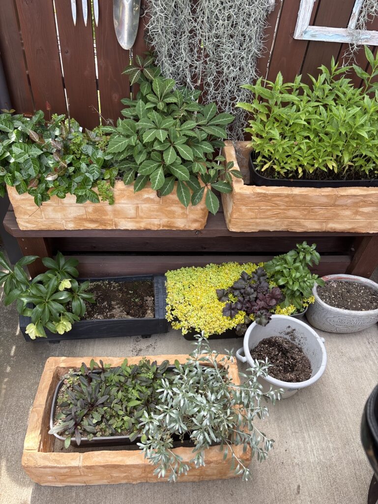 モルタルで作ったレンガ調の鉢