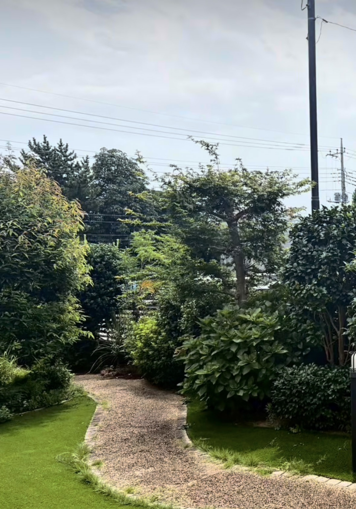 施工前のアプローチ